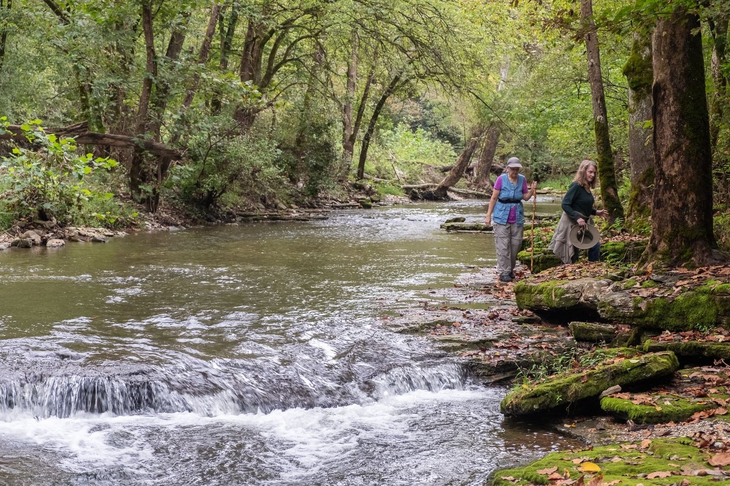 Creek's Edge Hike - Visit Winchester Kentucky