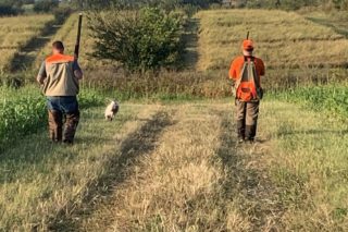 Quail Point Preserve and Recreational Hunt