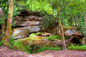 Mountain forest and natural stone bridge. Red River Gorge in Kentucky, USA