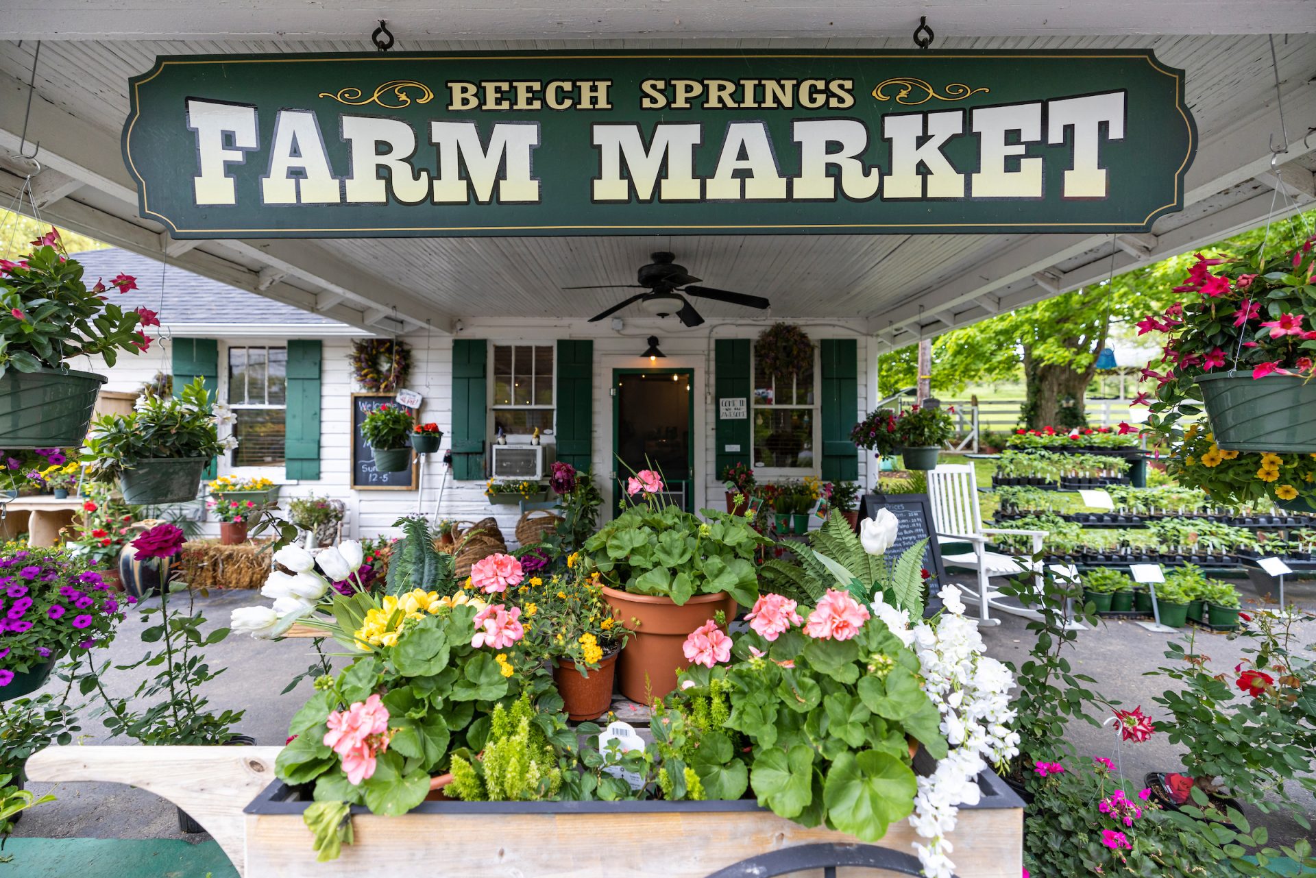 in front of Beech Springs Farm Market