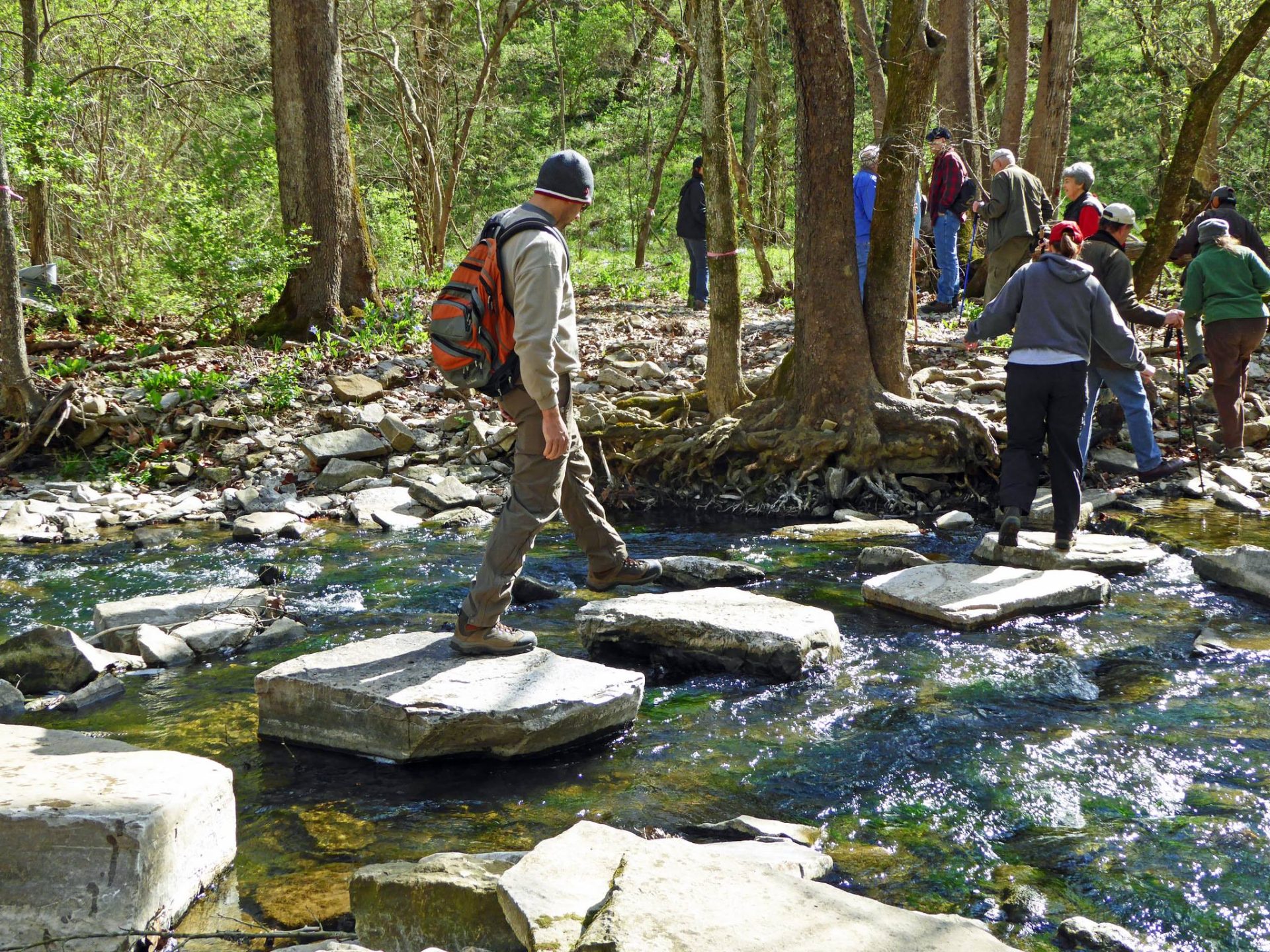 group hiking a trail at Lower Howards Creek