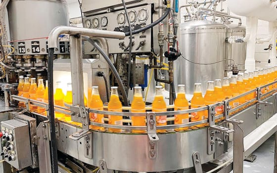 A sip of summer – Orange Cream Ale-8